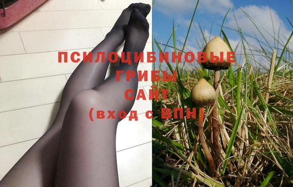 мет Краснослободск