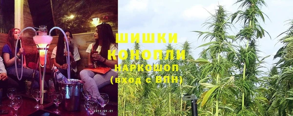 кокс Корсаков