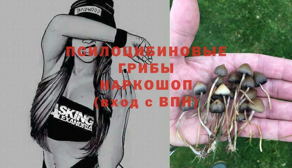 мет Краснослободск