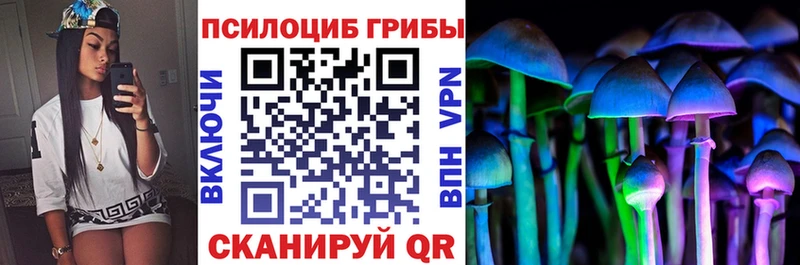 Купить Каспийск Псилоцибиновые грибы Psilocybe